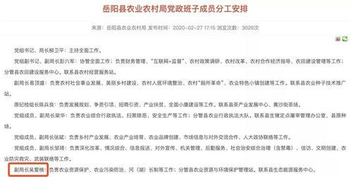 湖南农村爆料新闻视频播放,视频揭示惊人真相，村民生活现状引关注  第3张