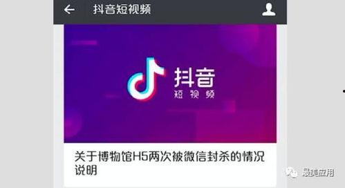 热点 爆料入口素材视频,素材视频背后的秘密  第3张