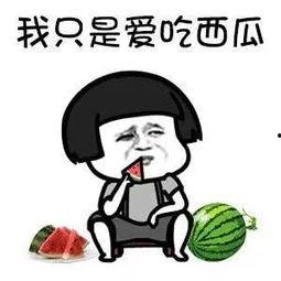 吃瓜的娱乐号叫什么,揭秘“吃瓜群众”背后的娱乐江湖  第1张